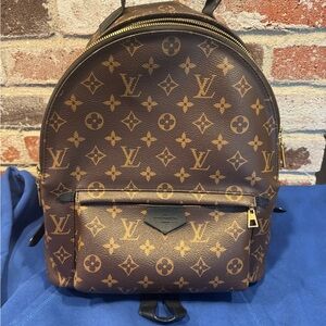 Louis Vuitton Men's Backpack in Brown Monogram